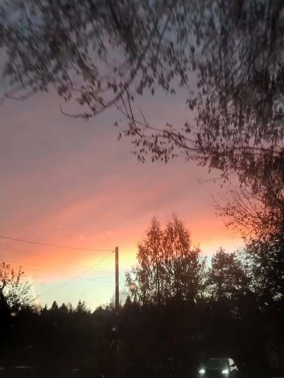 Всенощное бдение